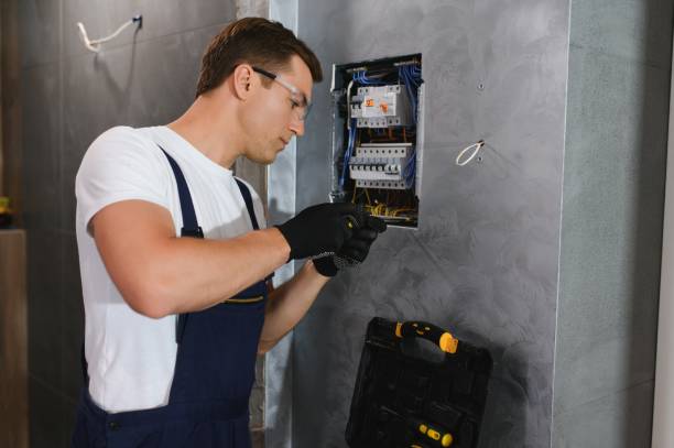 Best Electric Panel Repair  in Brookfield, MO